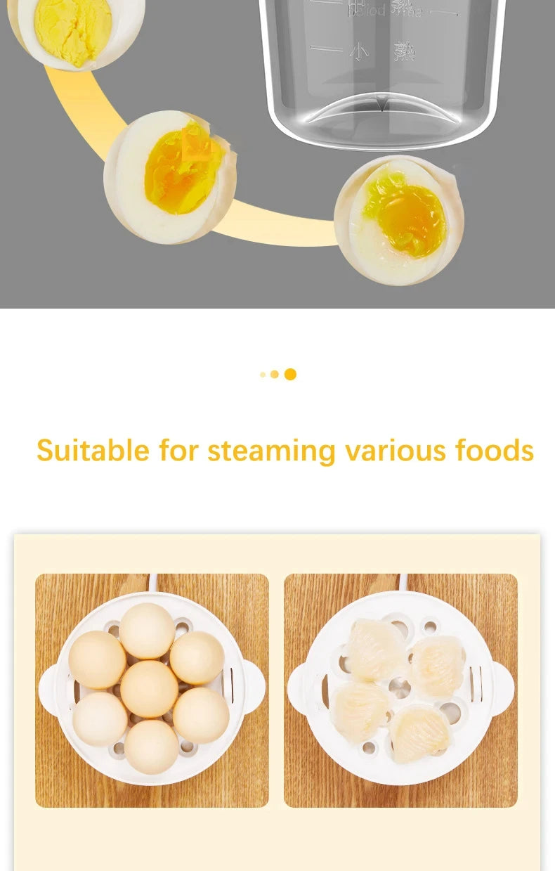 Multifunction Electric Egg Cooker & Steamer